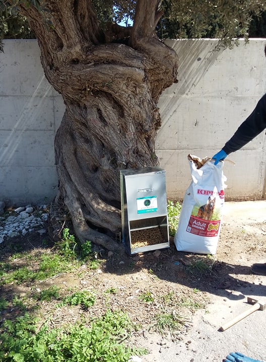 Read more about the article ΚΑΘΟΡΙΣΜΟΣ ΤΩΝ ΠΡΩΤΩΝ ΣΗΜΕΙΩΝ ΣΙΤΙΣΗΣ ΑΔΕΣΠΟΤΩΝ ΖΩΩΝ  ΚΑΙ ΤΟΠΟΘΕΤΗΣΗ ΕΙΔΙΚΩΝ ΤΑΙΣΤΡΩΝ ΠΡΟΣΦΟΡΑ ΤΗΣ ΕΤΑΙΡΙΑΣ PET CITY  ΑΕΒΕ  ΓΙΑ ΤΗΝ ΥΠΟΣΤΗΡΙΞΗ ΤΟΥ ΔΗΜΟΥ ΚΡΩΠΙΑΣ