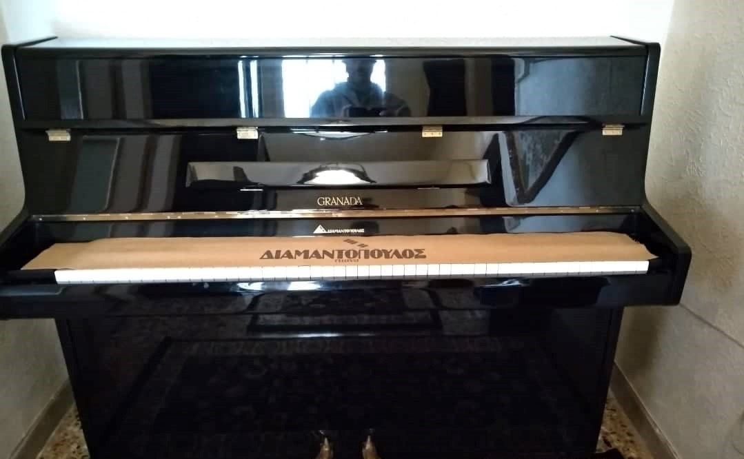 Read more about the article Δωρεά ενός πιάνου στην Δημοτική Βιβλιοθήκη από Βαλασία Τσιμπρικίδου στην μνήμη του Κωνσταντίνου Καραπάνου, ιατρού-χειρουργού